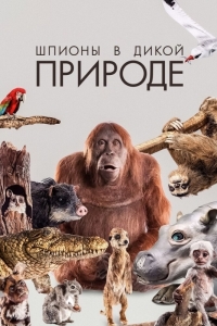 Шпионы в дикой природе