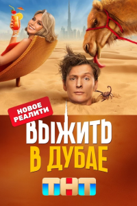 Выжить в Дубае